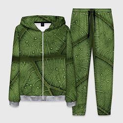 Мужской костюм Текстура зелёной листы