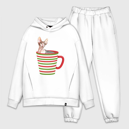 Мужской костюм оверсайз Сфинкс в новогодней полосатой кружке / Белый – фото 1