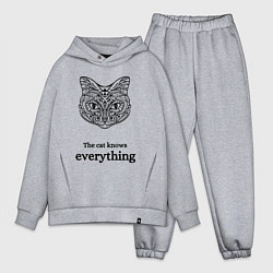 Мужской костюм оверсайз The cat knows everything, цвет: меланж