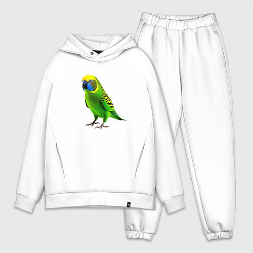 Мужской костюм оверсайз Зеленый попугай / Белый – фото 1