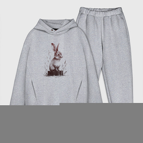 Мужской костюм оверсайз Кролик на пеньке / Меланж – фото 1