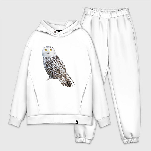 Мужской костюм оверсайз Полярная сова / Белый – фото 1