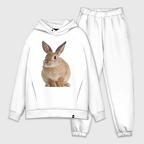 Мужской костюм оверсайз Бежевый кролик / Белый – фото 1