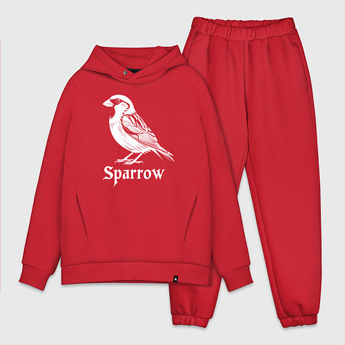 Мужской костюм оверсайз Воробей в готическом стиле / Красный – фото 1