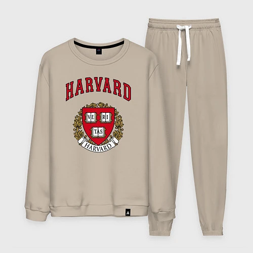 Мужской костюм Harvard university / Миндальный – фото 1