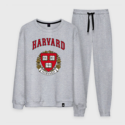 Мужской костюм Harvard university / Меланж – фото 1