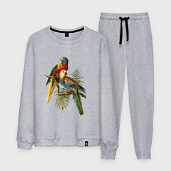 Костюм хлопковый мужской Тропические попугаи, цвет: меланж