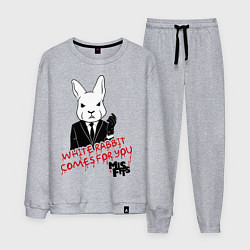 Костюм хлопковый мужской Misfits: White rabbit, цвет: меланж
