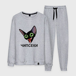 Мужской костюм Чипсеки: кот-мем