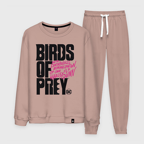 Мужской костюм Birds of Prey logo / Пыльно-розовый – фото 1
