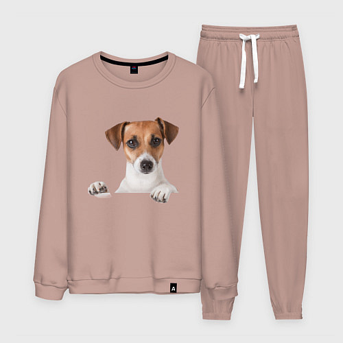 Мужской костюм Собака / Пыльно-розовый – фото 1