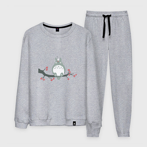 Мужской костюм Тоторо / Меланж – фото 1
