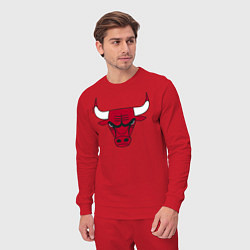 Костюм хлопковый мужской Chicago Bulls, цвет: красный — фото 2