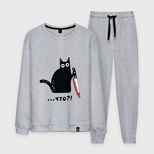Мужской костюм Милый кот / Меланж – фото 1