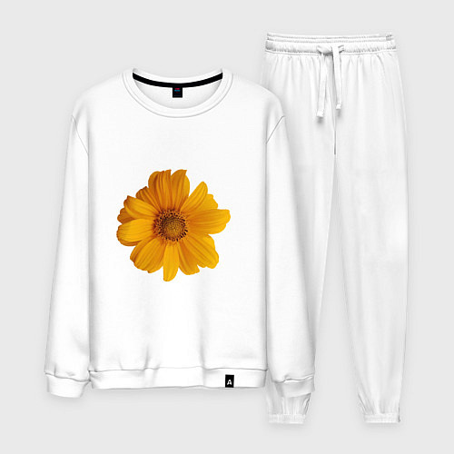 Мужской костюм Подсолнух / Белый – фото 1