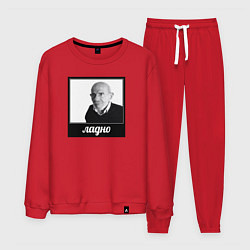 Костюм хлопковый мужской Ладно, цвет: красный