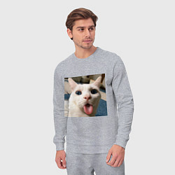 Костюм хлопковый мужской Мем про кота, цвет: меланж — фото 2