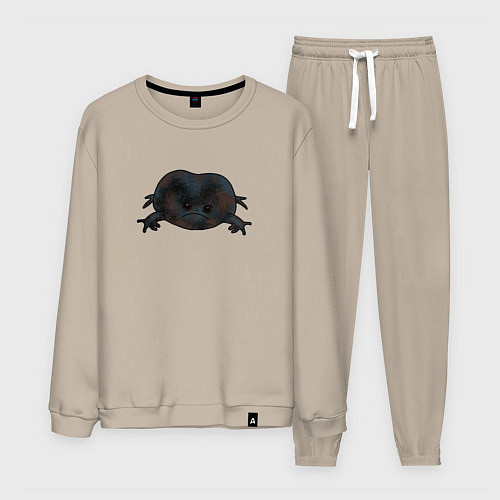 Мужской костюм Настроение дождевой лягушки / Миндальный – фото 1