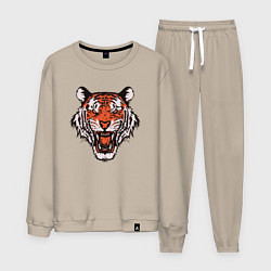 Костюм хлопковый мужской Tiger Soul, цвет: миндальный