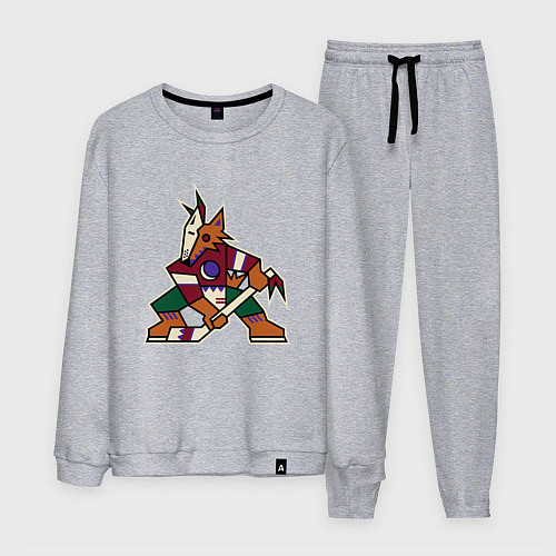 Мужской костюм Аризона Койотис логотип / Меланж – фото 1