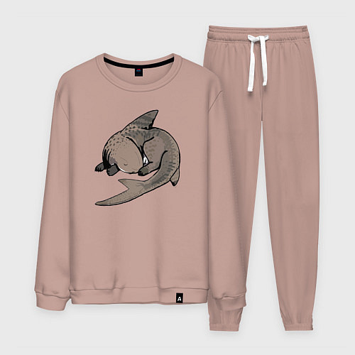 Мужской костюм Спящая акула / Пыльно-розовый – фото 1