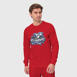 Костюм хлопковый мужской Wilmington sharks -baseball team, цвет: красный — фото 2