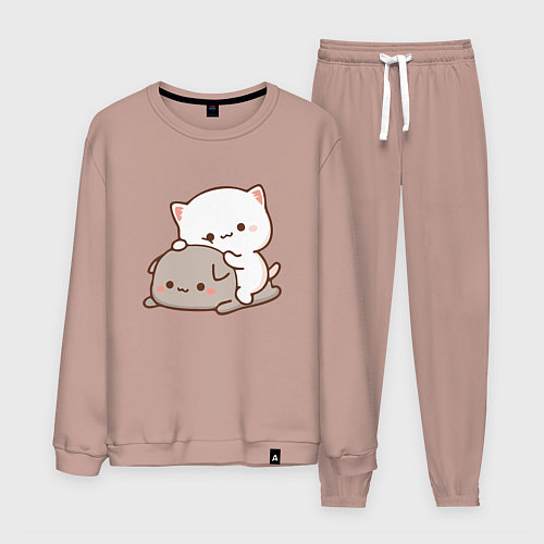 Мужской костюм Котики играют 02 / Пыльно-розовый – фото 1