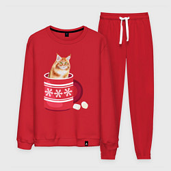 Костюм хлопковый мужской Кошка сидит в новогодней кружке, цвет: красный