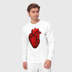 Костюм хлопковый мужской Сердце анатомическое, цвет: белый — фото 2
