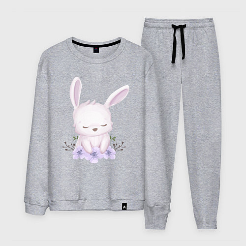 Мужской костюм Милый Крольчонок С Цветочками / Меланж – фото 1