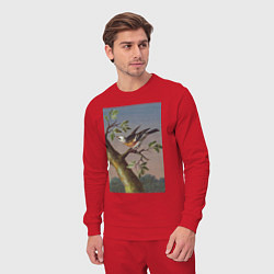 Костюм хлопковый мужской Sneeuwgors Арктический воробей, цвет: красный — фото 2