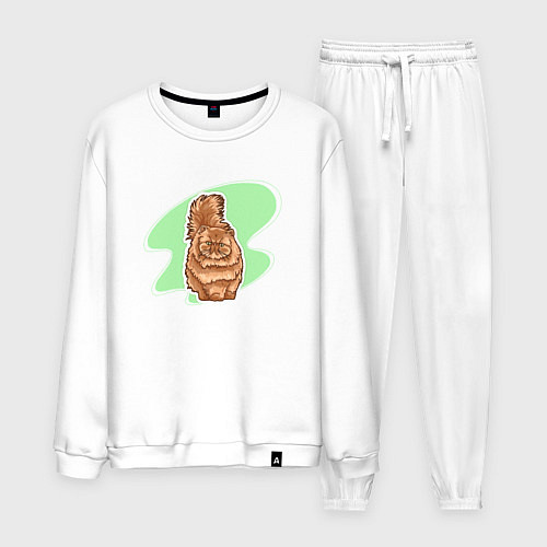 Мужской костюм Персидская кошка Кошки / Белый – фото 1