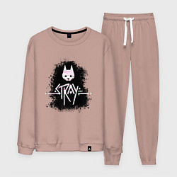 Мужской костюм Stray мелками на черном фоне