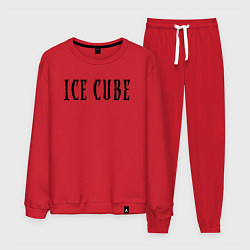 Мужской костюм Ice Cube - logo