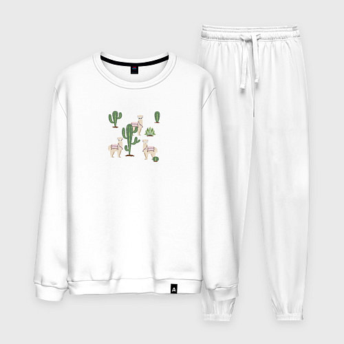 Мужской костюм Три альпака среди кактусов гуляют / Белый – фото 1