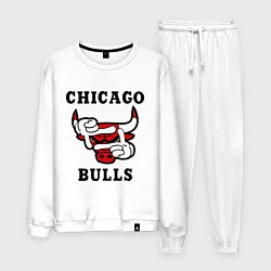Мужской костюм Chicago Bulls SWAG