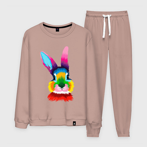 Мужской костюм Радужный кролик / Пыльно-розовый – фото 1