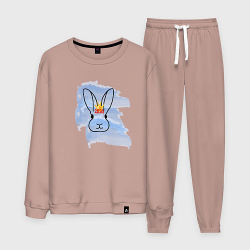 Мужской костюм Водяной кролик- символ Нового 2023 года / Пыльно-розовый – фото 1