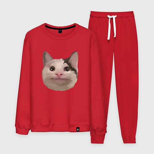 Мужской костюм Polite cat meme / Красный – фото 1