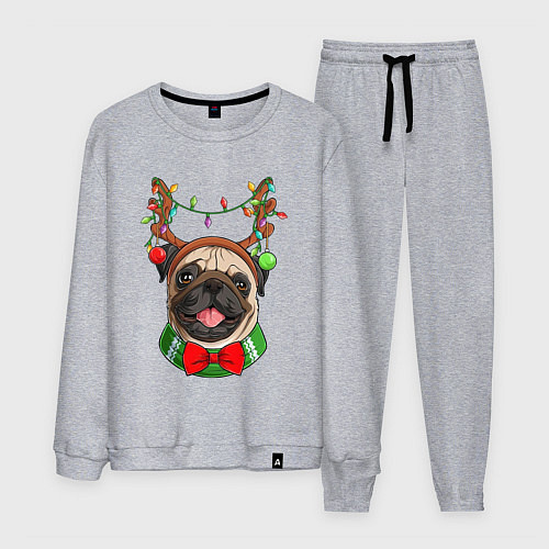 Мужской костюм Новогодний мопс / Меланж – фото 1