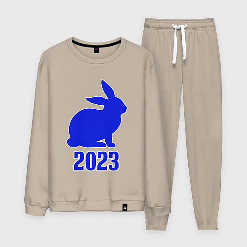 Мужской костюм 2023 силуэт кролика синий / Миндальный – фото 1