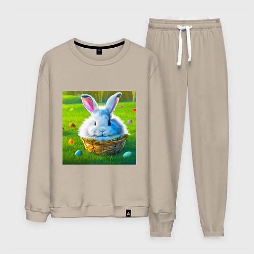 Мужской костюм Милый кролик в корзинке / Миндальный – фото 1