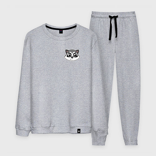 Мужской костюм Мордочка енота / Меланж – фото 1