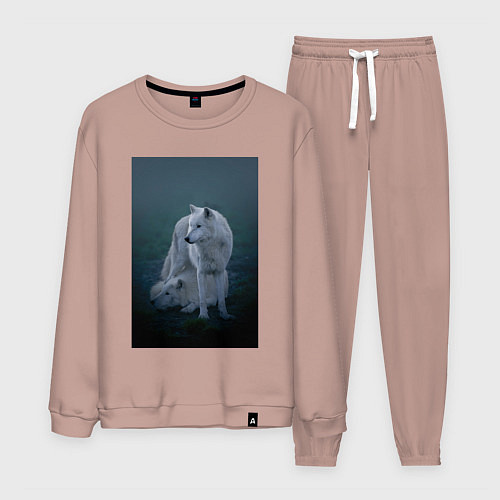 Мужской костюм Арктические волки / Пыльно-розовый – фото 1