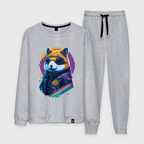 Мужской костюм Крипто хомяк / Меланж – фото 1
