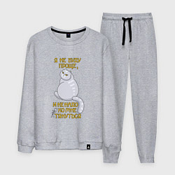 Костюм хлопковый мужской Я не буду проще, цвет: меланж