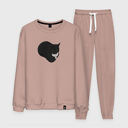 Костюм хлопковый мужской Maxwell cat, цвет: пыльно-розовый
