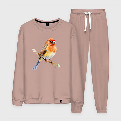 Мужской костюм Оранжевая птица на ветке / Пыльно-розовый – фото 1