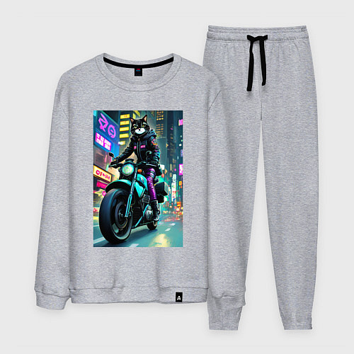 Мужской костюм Кошечка байкер - нейросеть / Меланж – фото 1