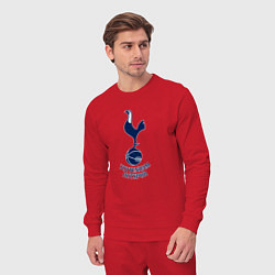 Костюм хлопковый мужской Tottenham Hotspur fc sport, цвет: красный — фото 2